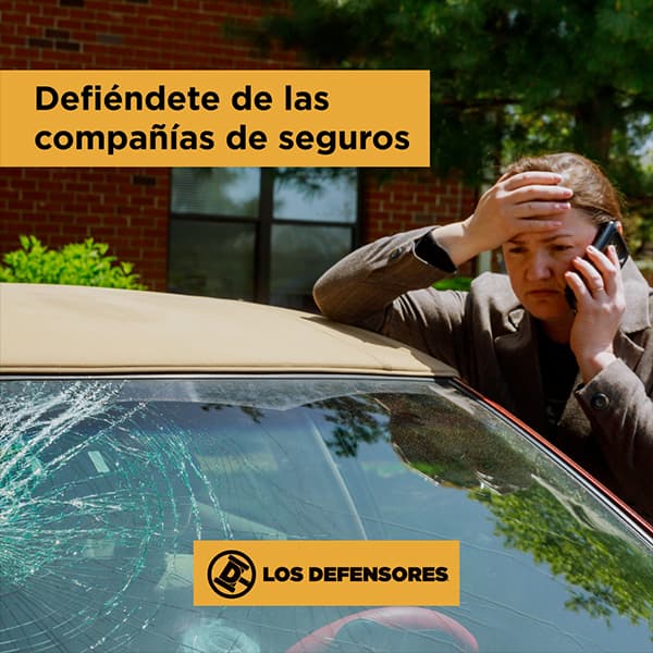 Los Defensores