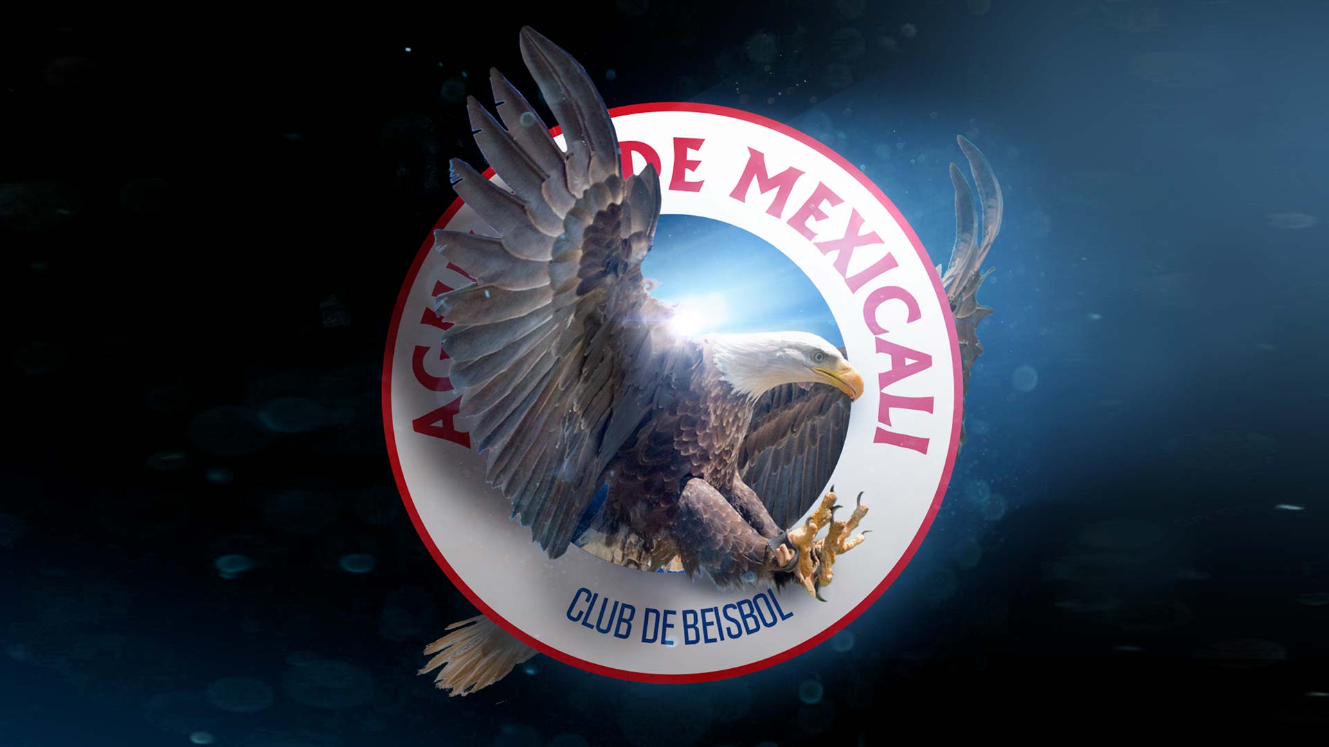 La Liga es Nuestra — imagen 3